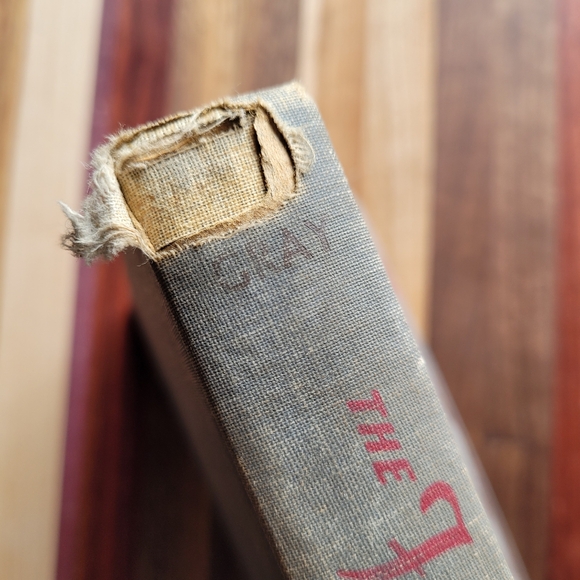 The Fair Adventure by Elizabeth Janet Gray / Antique / 1940 - Picture 7 of 8